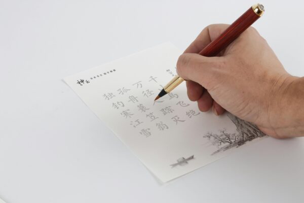 Irish Leaving Certificate Chinese Fundamental Knowledge Tutoring (8 Lessons)